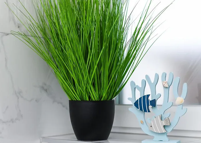 Apartman Im Haus Strandkorb Bensersiel